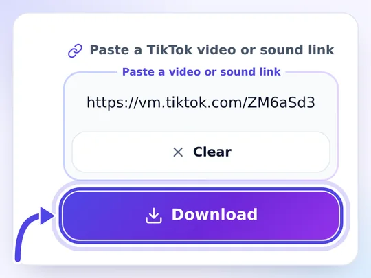 Enlace de TikTok pegado en snaptik.cat para pasarlo a MP3