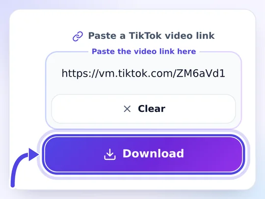 TikTok link pasted into the snaptik.cat TikTok downloader box