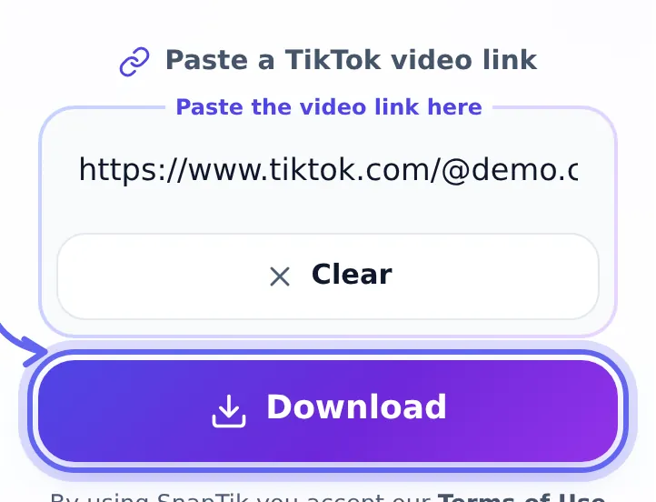 TikTok link pasted into the SnapTik TikTok downloader box